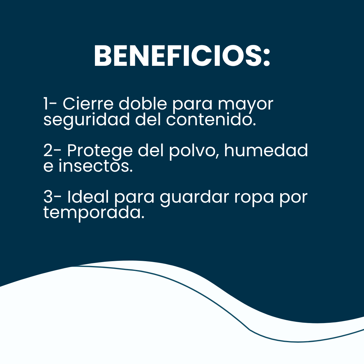 Organizador Premium