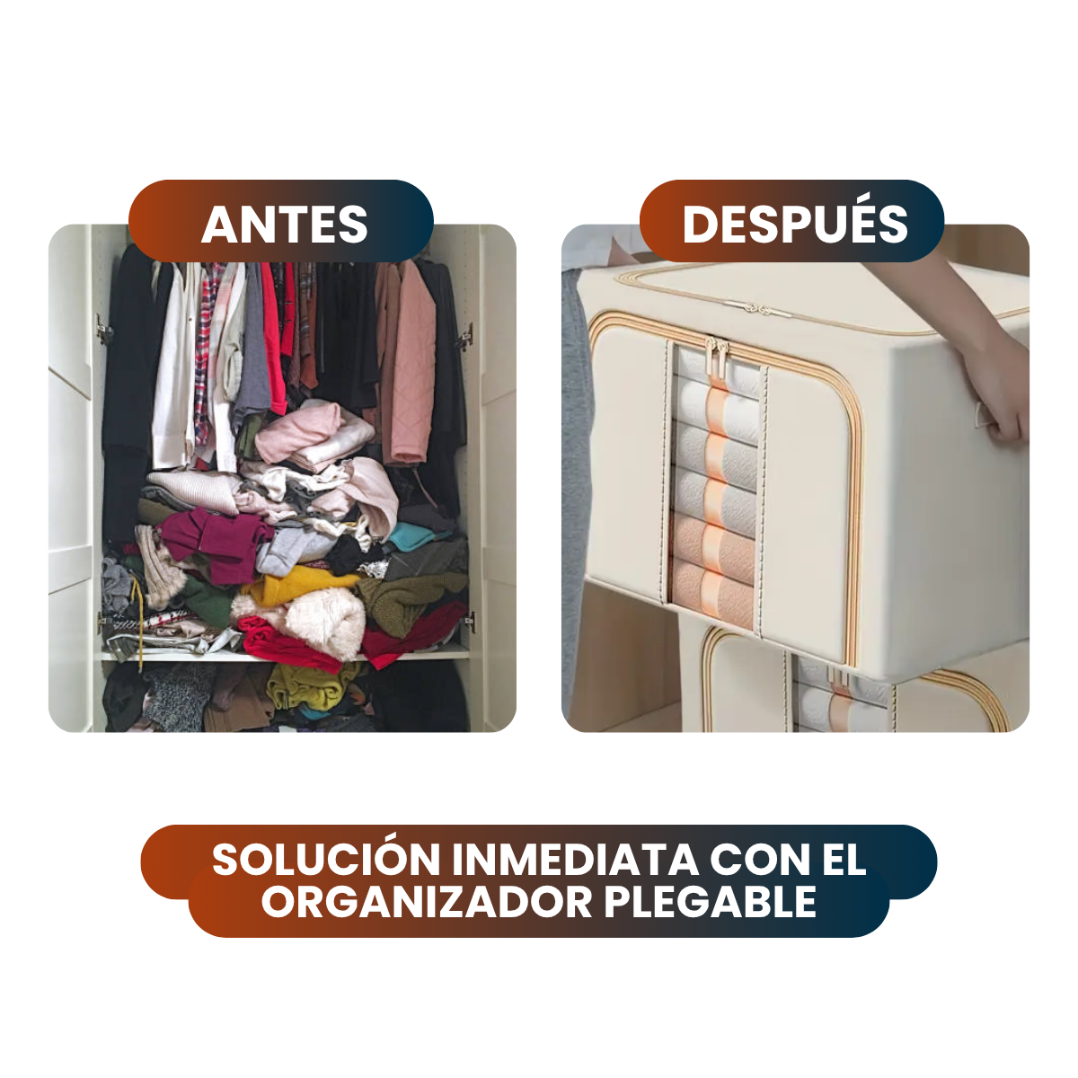 Organizador Premium