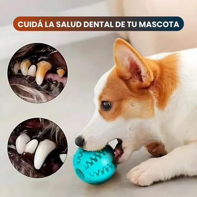 Dog Ball™ 2x1🔥| Salud y diversión para tu mascota