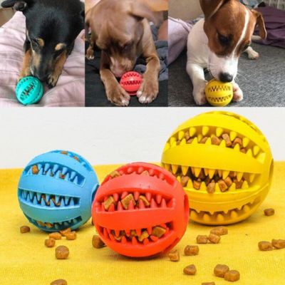 Dog Ball™ 2x1🔥| Salud y diversión para tu mascota