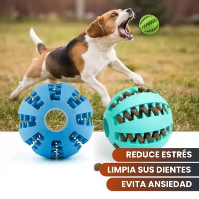 Dog Ball™ 2x1🔥| Salud y diversión para tu mascota