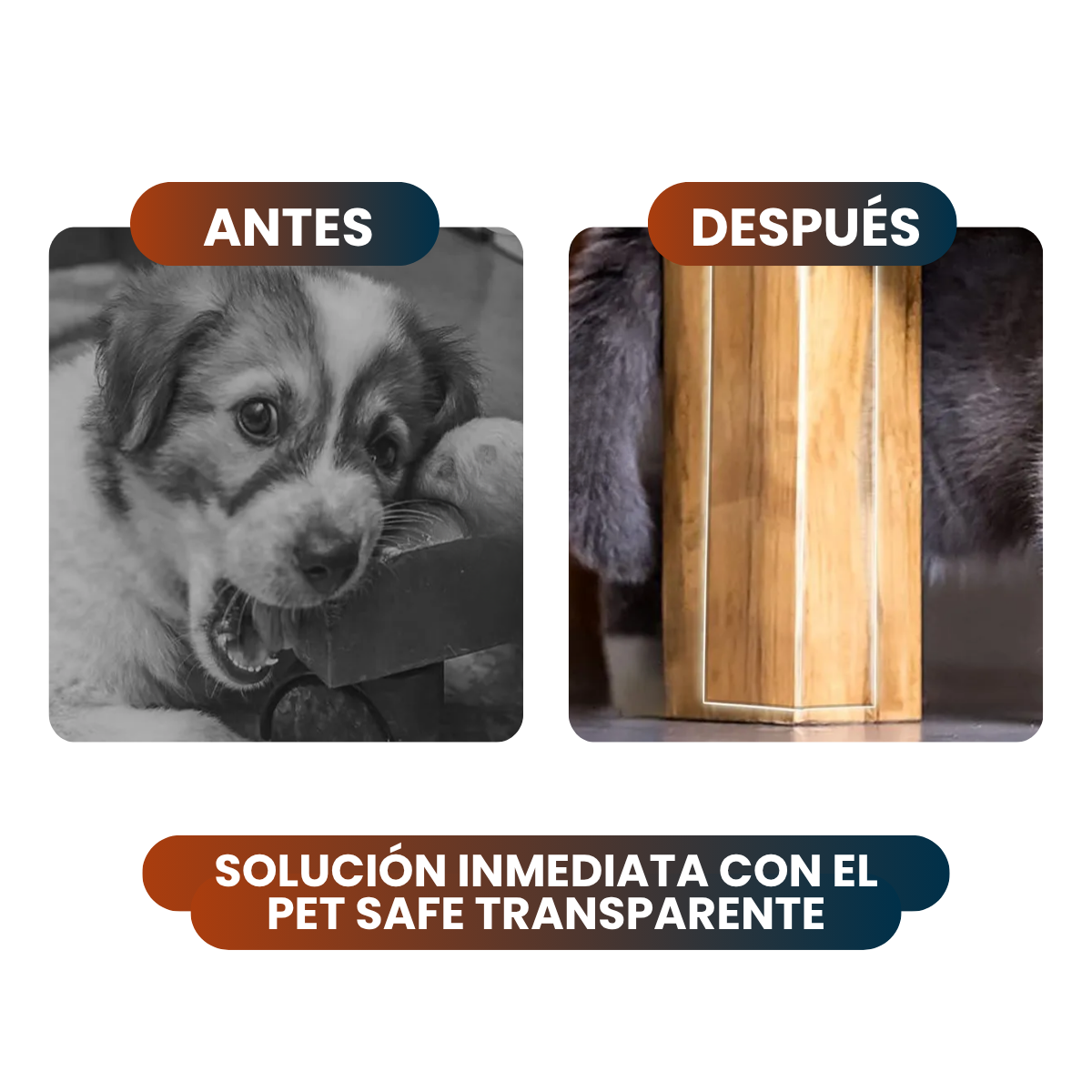 Pet Safe™ Pack 3x1 🔥 | Protección para tus muebles